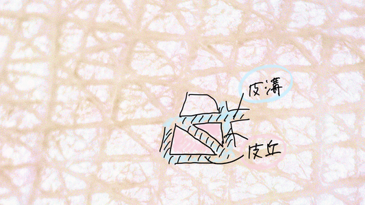 EVクリームで肌のキメをととのえる