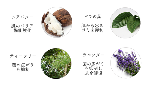 肌あれに効く植物とは?