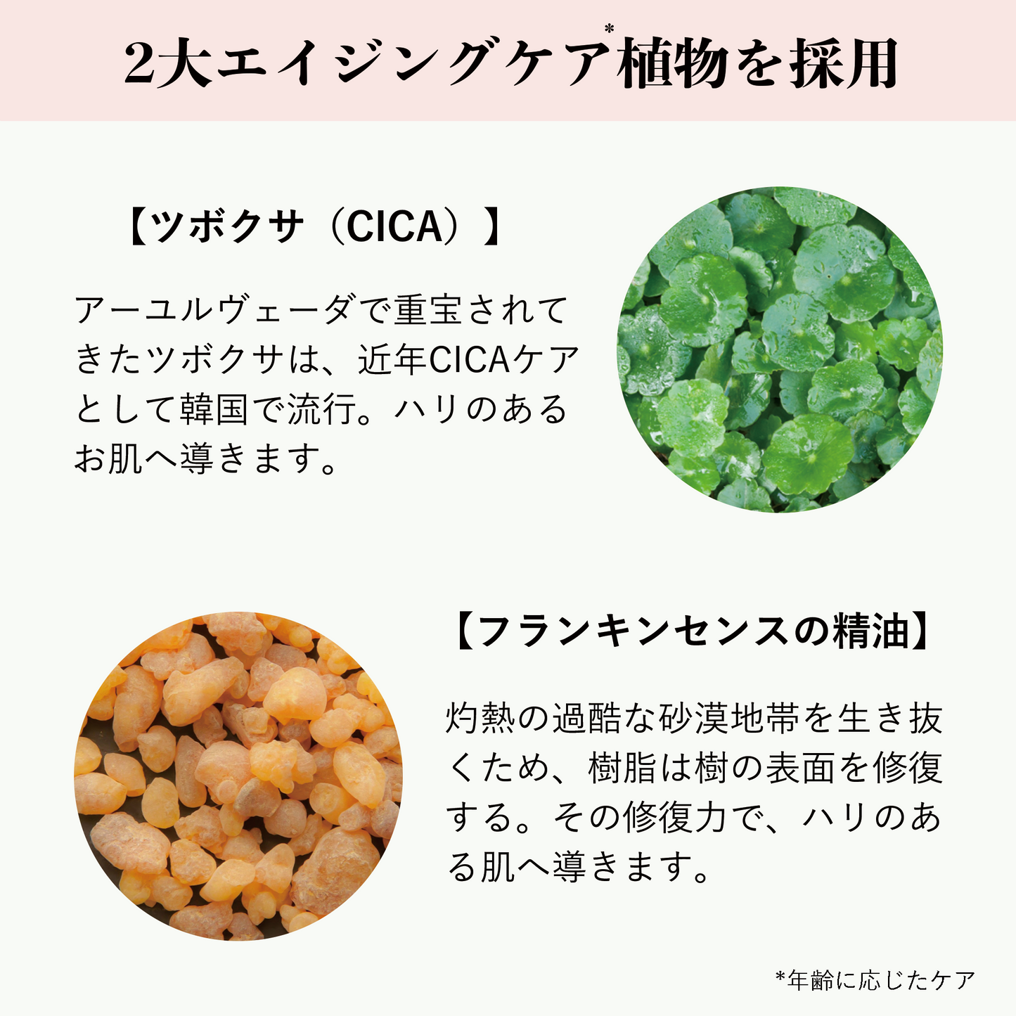 【エイジング対応・高保湿】EVクリーム ウォーム 30mL