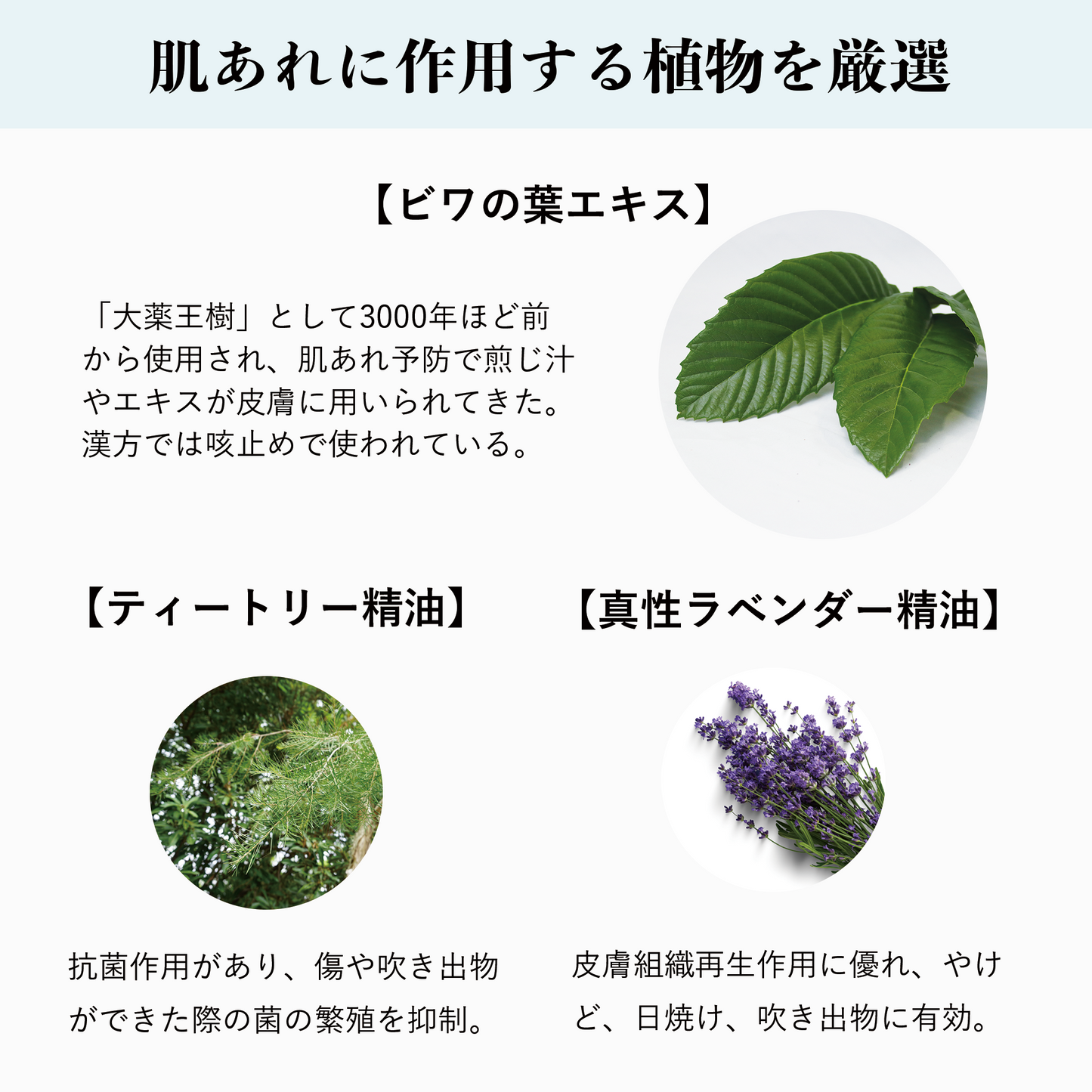 【あれ肌対応・高保湿】EVクリーム クール 30mL