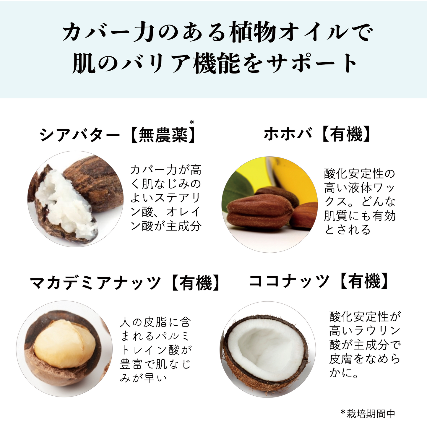 【あれ肌対応・高保湿】EVクリーム クール 30mL