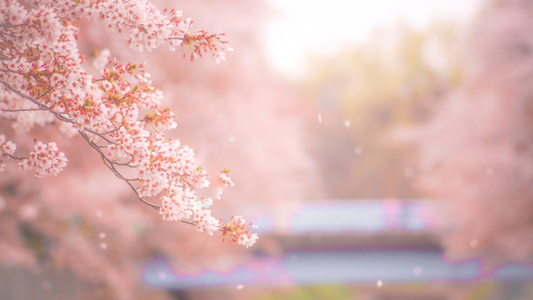 スキンケア、春仕様へ微調整を