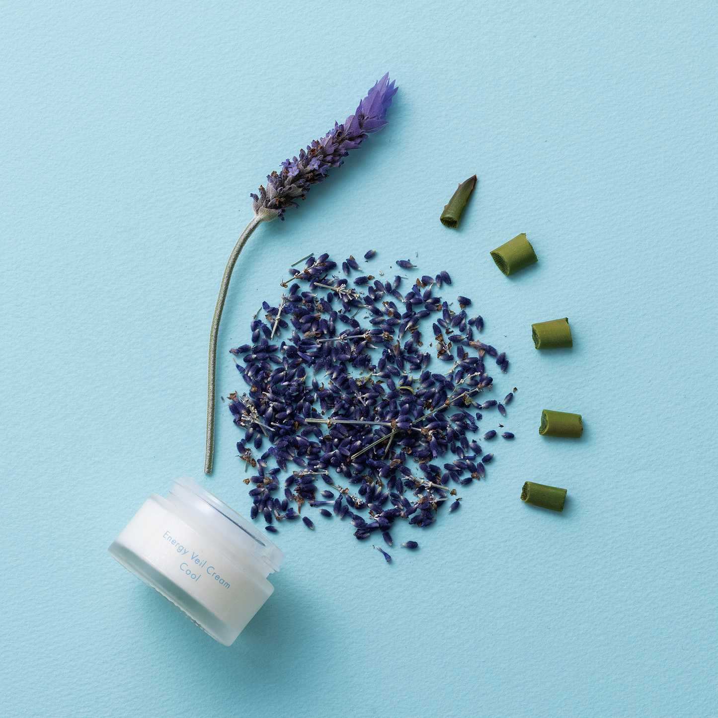 【あれ肌対応】EVクリーム クール 30mL